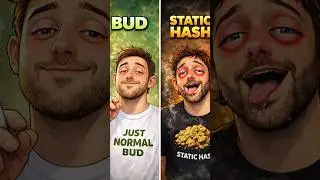 I Tried Static Hash After Normal Bud&hellip; Big Mistake 😂