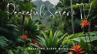Morning Chorus: Uplifting Birdsong & Forest Awakening Sounds for Positive Energy