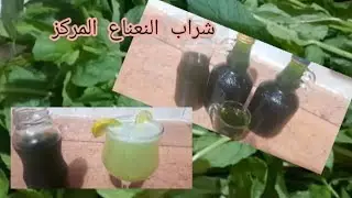 ليه تشتريه❗️ شراب النعناع فى البيت اعمليه.