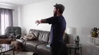 Using A Pet Corrector To Stop Extreme Rough Housing Indoors