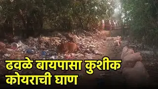 Dhavlim Bypass Turns Dumping Ground, Locals Raise Health Fears||GOA365 TV