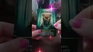 If your seeing this video the message inside if for you! 