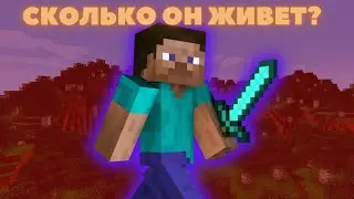 Сколько лет Стиву? Абсурдный вопрос. Полный разбор