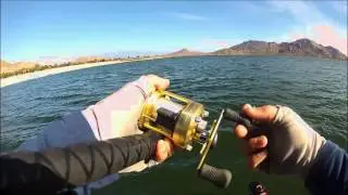 Swimbait Chronicles Episode 2