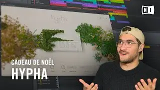 CADEAUX : notre nouvel instrument inspirant HYPHA, et plein d’autres surprises | Native Instruments