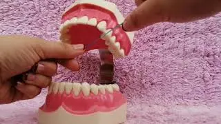 &iquest;Qu&eacute; tan importante es el hilado dental? 🤔