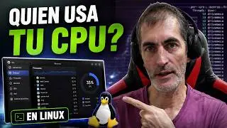 Quien esta monopolizando la CPU en Linux? Descubrelo AQU&Iacute;