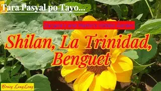 Tara Pasyal po Tayo sa DarJane's Garden at sa Martin's Hobbit House sa Shilan, La Trinidad, Benguet