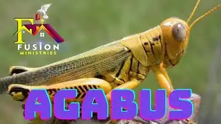 7February 2021,Agabus ,telugu bible message ,revRajkumarNalli