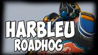 HARBLEU HAMMOND + ROADHOG GAMEPLAY OVERWATCH SEASON 24 TOP 500