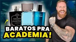 Os 6 MELHORES PERFUMES BARATOS pra usar na ACADEMIA em 2026 (Pra TREINAR CHEIROSO, GASTANDO POUCO!)