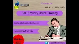 sap security online training