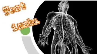 Sinir sistemi test izahı