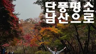 [사브작킴-서울명소-남산단풍-남산둘레길-7km-걷기]