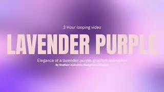 Lavender Purple Gradient Animation | 3 Hours Seamless Loop | 4K