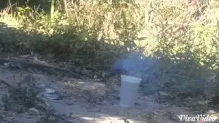 Silvaboom en camara lenta