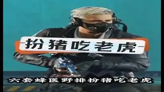昊天6套蜂医扮猪吃老虎野排，最后燃尽爆杀两队！ #三角洲行动