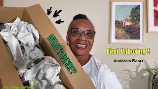 🌿 Aroidasia Plant Unboxing | My First Rare Hoya & Tropical Haul 🌿
