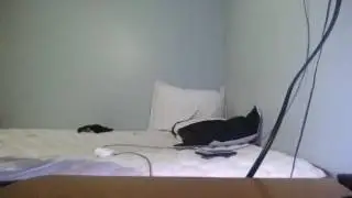 Morning routine of a flipper