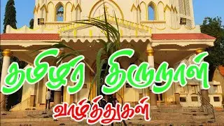 தமிழர் திருநாள் பொங்கல் காலை திருப்பலி 