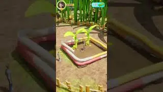 Spider Web Rescue