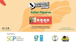 Community Engagement and Public Participation in Environmental Justice