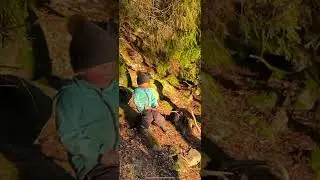 Vaari-vainaan kannel