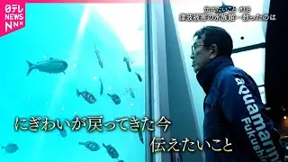 【震災から13年】｢周りの仲間を大切に…｣津波に襲われた水族館館長が伝えたいこと　福島　NNNセレクション