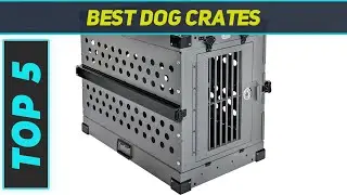 Top 5 Best Dog Crates in 2024