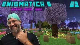 Lets Play Enigmatica 6 Expert EP 9 &mdash; Natures Aura Gold Leaf &mdash; Лесной ритуал Древнего саженца!