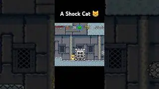 A Shock Cat 😸 #supermario #mario #mariomaker #supermariomaker2