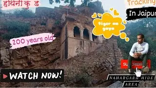 ⛰️TRACKING IN JAIPUR ⛰️ ||🐘 HATHINI KUND ||🏞️ NAHARGARH HIDE AREA