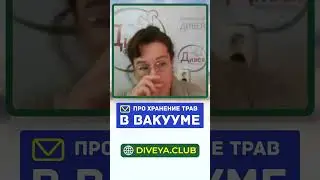 Хранение трав в вакууме. Как нужно хранить травы? Основы травничества