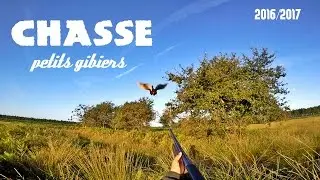 Ouverture de chasse 2016-2017 faisan, perdreau.
