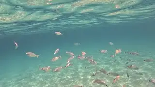Cala Conta Ibiza