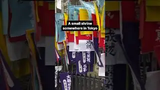 A shrine visit. #japantravel #shintoshrine #marinjapan #japanlife #japanshrine