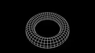 3D Torus Visual Background Loop [4K] - Black and White - VJ Loops