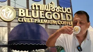 Most Expensive Coffee in Thailand (Made from Weasel poop) Civet Kopi Luwak