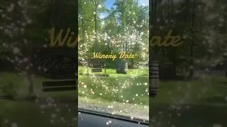 Summer date ideas for couples