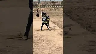 Unbelievable bowling bold 😱 #cricket #cricketlover #cricketshorts #viralvideo
