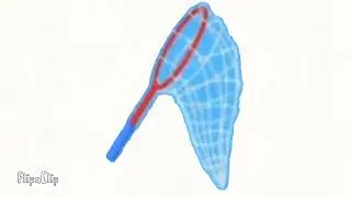 Butterfly net animation