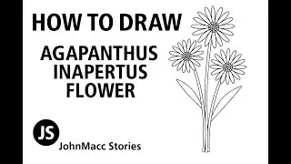 How to Draw Agapanthus Inapertus Flower | Simple Botanical Line Art
