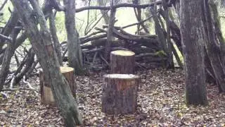 Fermynwoods - Kerry