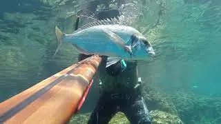 Spearfishing Croatia - Neo Carbone - 