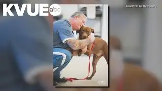 Travis County veteran inmates to work with at-risk dogs