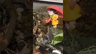 i left my terrarium in the sun&hellip; big mistake. #TerrariumLife #MossEscape #SpringtailsInAction