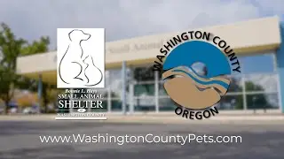 Bonnie L. Hays Small Animal Shelter: A Look Inside the Facility