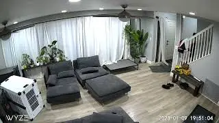 Couple Goes Viral After Trapping Themselves in Dog Crates