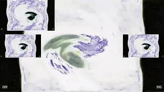 Dreamworks Animation SKG (Shark Tale Variant) in The Real G-Major 15231 has a Sparta Gamma Remix