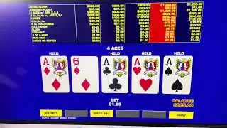 Dealt Four Aces&hellip;.Can I Get the Kicker? #casino #videopoker 